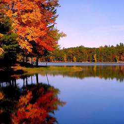 Пазл: Осень