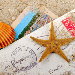 Пазл: Воспоминания о лете