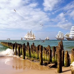 Пазл: На всех парусах