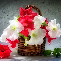 Пазл: Цветы