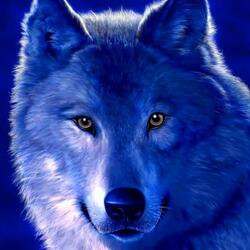 Пазл: Вожак