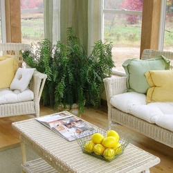 Пазл: Для отдыха