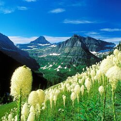 Пазл: Национальный парк Glacier