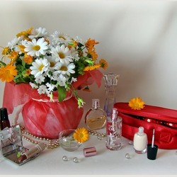 Пазл: Женские штучки