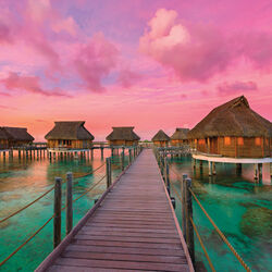 Пазл: Красочный рай