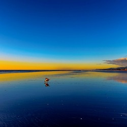 Пазл: По воде