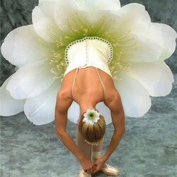 Пазл: Балет цветов