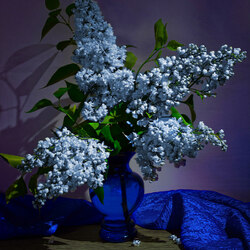 Пазл: Букет сирени