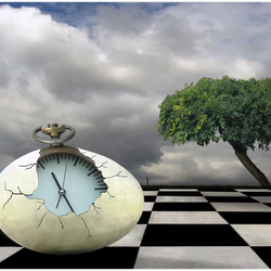 Пазл: Время жизни