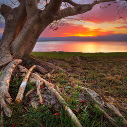 Пазл: Закат 
