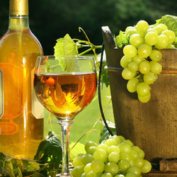 Пазл: Дары лета