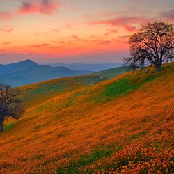 Пазл: В горах  