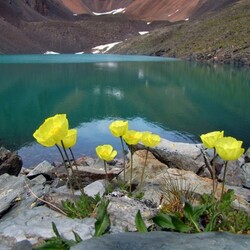 Пазл: Лучше гор могут быть только горы