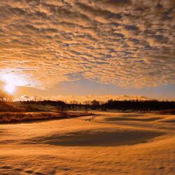 Пазл: Однотонность неба и земли