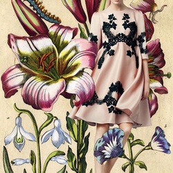 Пазл: Коллекция 