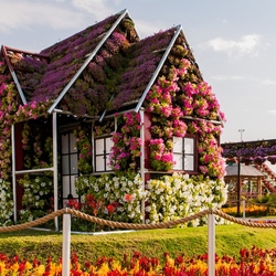 Пазл: Чудо-сад в Дубаях