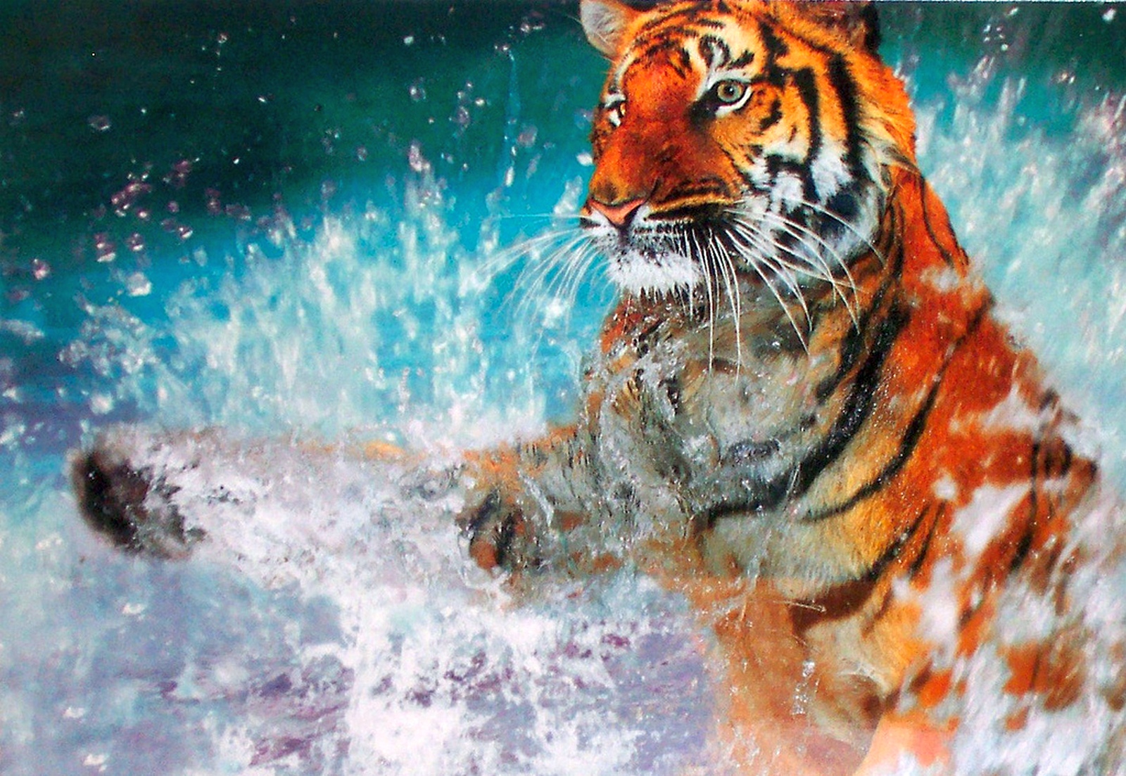 Водная пазл тигр