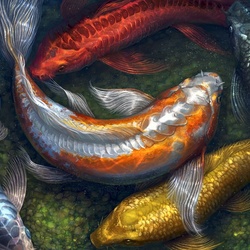 Пазл: Карпы кои 