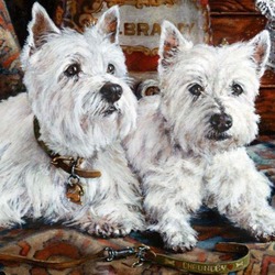 Пазл: Вестики