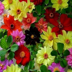 Пазл: Веселые ребята