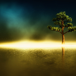 Пазл: Ночное небо