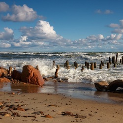 Пазл: Утренний прибой