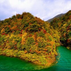 Пазл: Осени краски