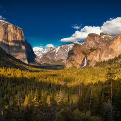 Пазл: Освещенный солнцем лес