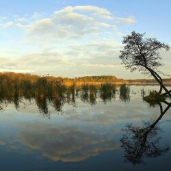 Пазл: Красоты природы