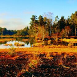 Пазл: Осенняя тишина природы
