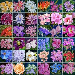 Пазл: Роспись на шелке