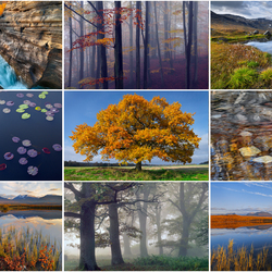 Пазл: Осень в Швеции