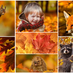 Пазл: Удивительная осень