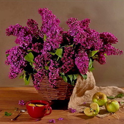 Пазл: Натюрморт с сиренью