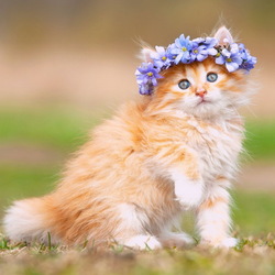 Пазл: Милашка в веночке