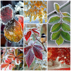 Пазл: Первый снег