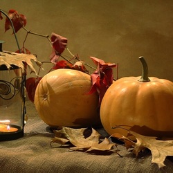 Пазл: Тыквенный натюрморт