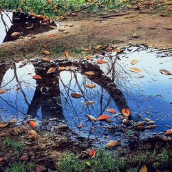 Пазл: Кусочек неба