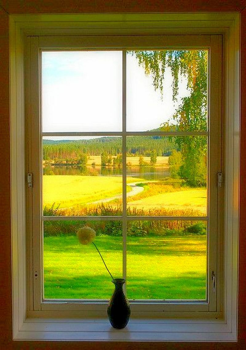 Пейзаж в окне