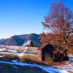 Пазл: Вот и первый снег