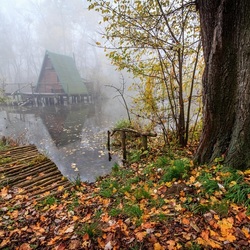 Пазл: Домик на воде