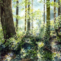 Пазл: В лесу