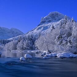 Пазл: Все в снегу