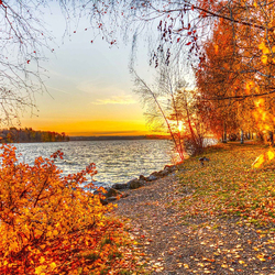 Пазл: Золотая осень