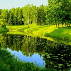 Пазл: Природа