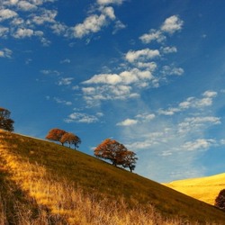 Пазл: Бродит осень по полям