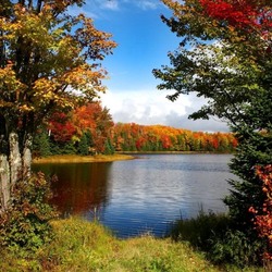 Пазл: Осень