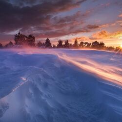 Пазл: Сугробы