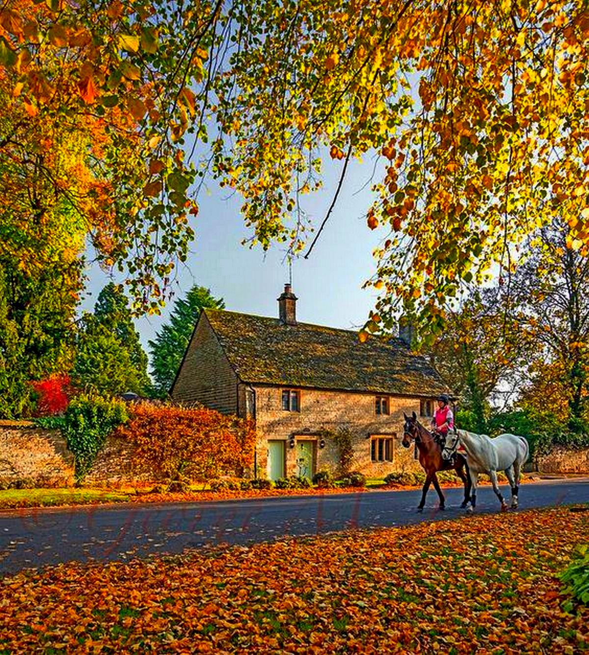 The countryside is beautiful. Йоркшир Англия осень. Котсуолд-Хилс. Сельская Англия Хэмпшир зимой. Йоркшир Англия домик осень.