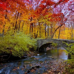 Пазл: Художник - осень
